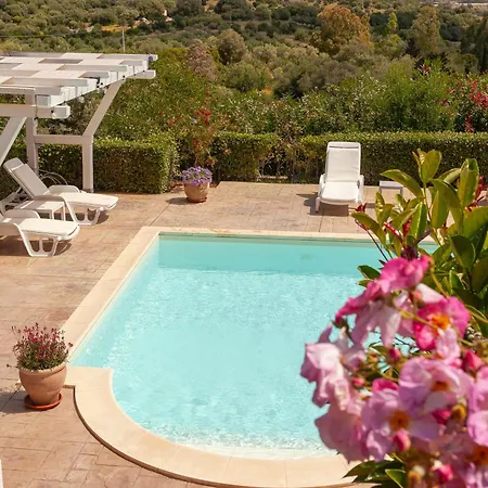 Pensjonat Domus Francy